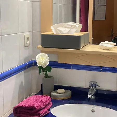 Les Rivages Du Parc Apartment *
